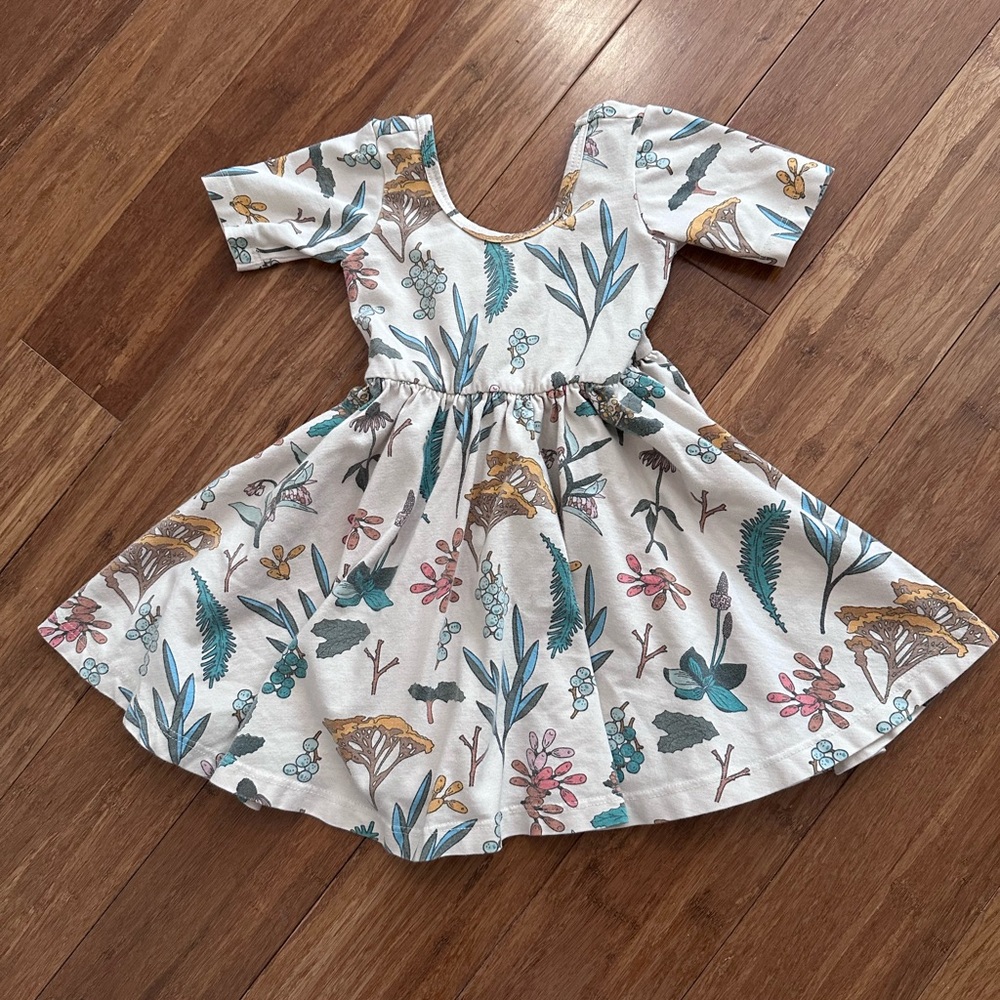 Alice and Ames herbal study dress